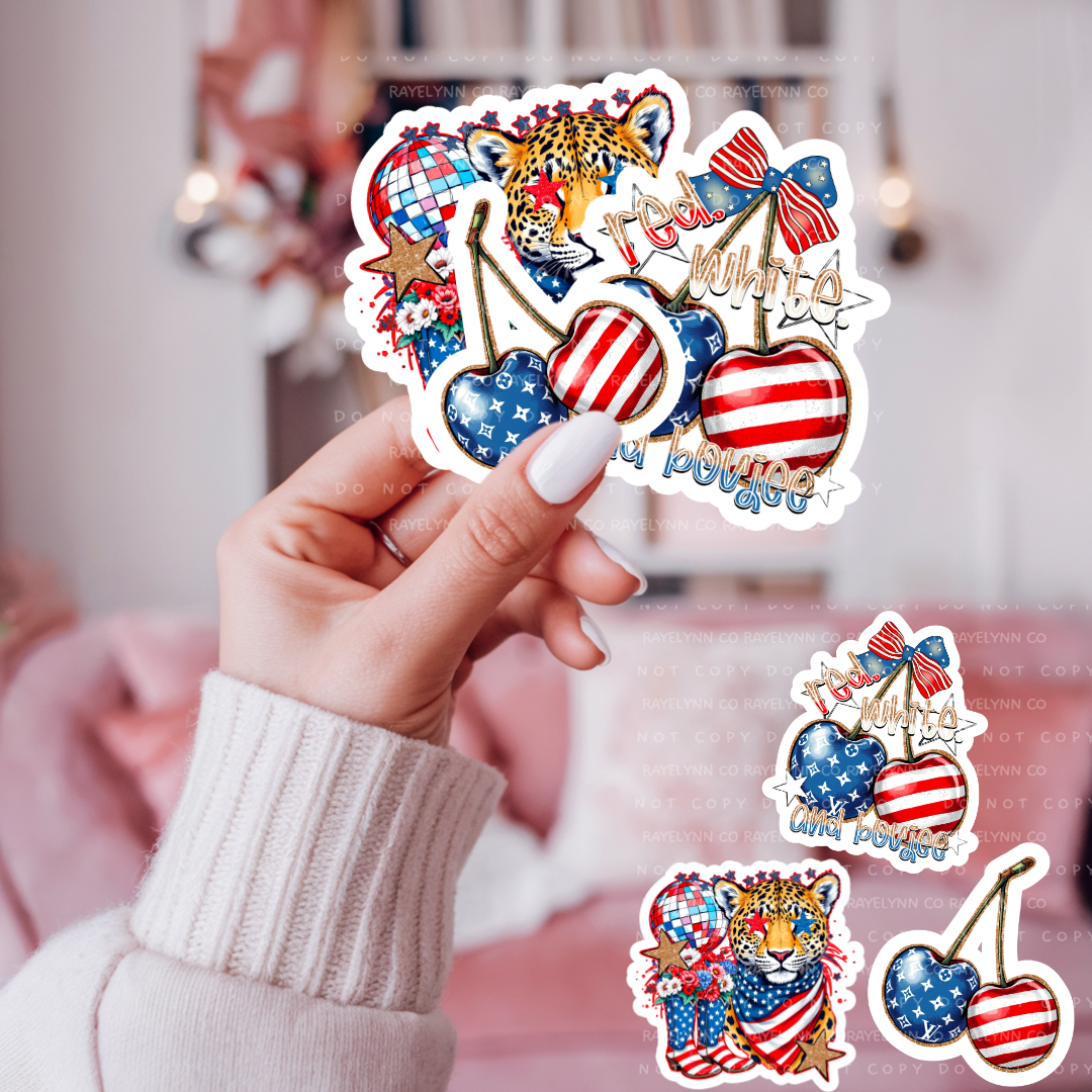 4TH OF JULY STICKER PACKAGE- DYE CUT STICKER