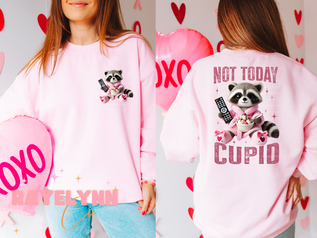 NOT TODAY COON (BUNDLE)- DTF