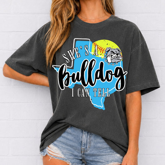 SCHOOL SPIRIT (CUSTOM)- DTF TRANSFER